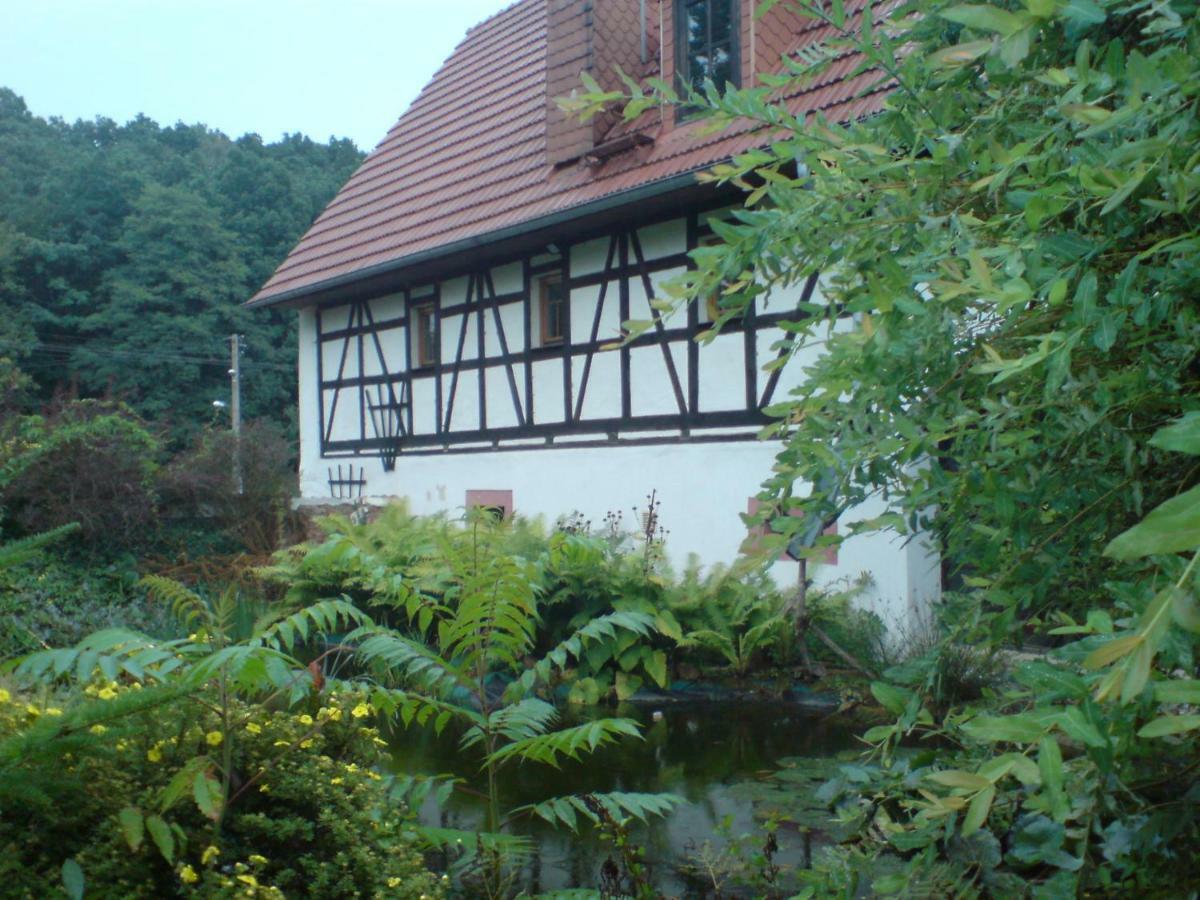 Restaurant & Pension "Bauernhof Zum Silberbergwerk" Limbach-Oberfrohna Екстер'єр фото
